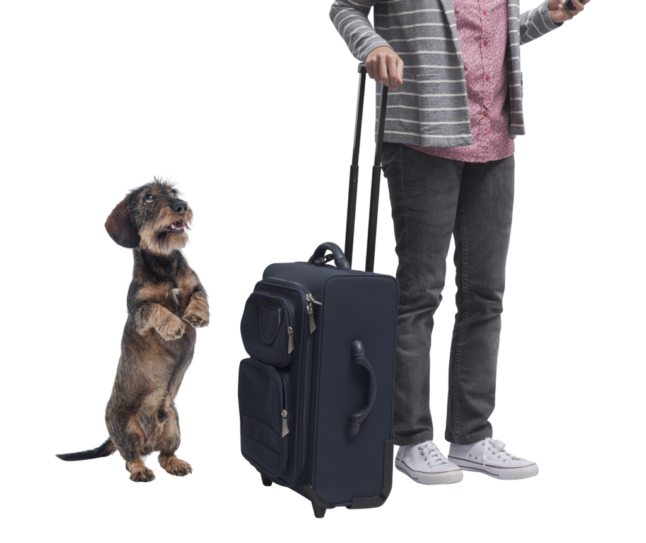 AdobeStock_1370144802